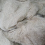 Cottonized flax fibres