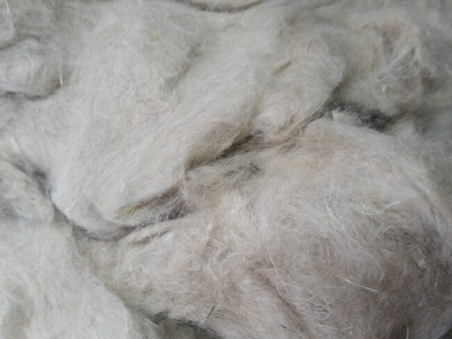 Cottonized flax fibres