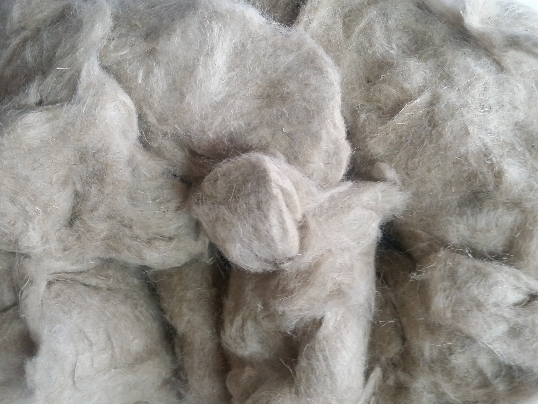 Cottonized flax fibres